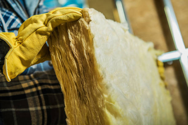Best Insulation Removal  in Peaceful Valley, WA