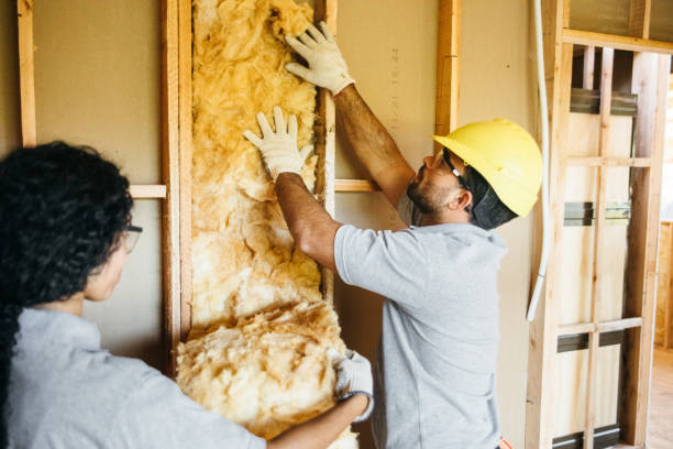 Best Commercial Insulation Contractor  in Peaceful Valley, WA